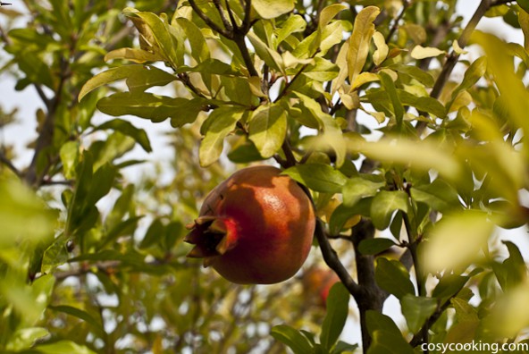 (Deutsch) Granatapfelmarmelade - ein winterlicher Fruchtgenuss