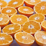 Menüdessert - erfrischendes Clementinenmousse mit einem Hauch Aperol