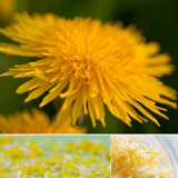 Bunt, blumig, aromatisch - Gewürzblütensalz