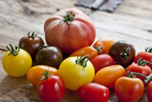 Buntes Sommervergnügen - Tomatentarte